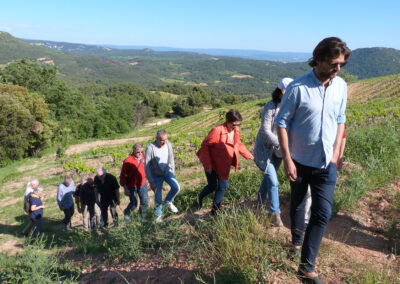 Domaine de la Ferme Saint-Martin - sur le sentier des vignes