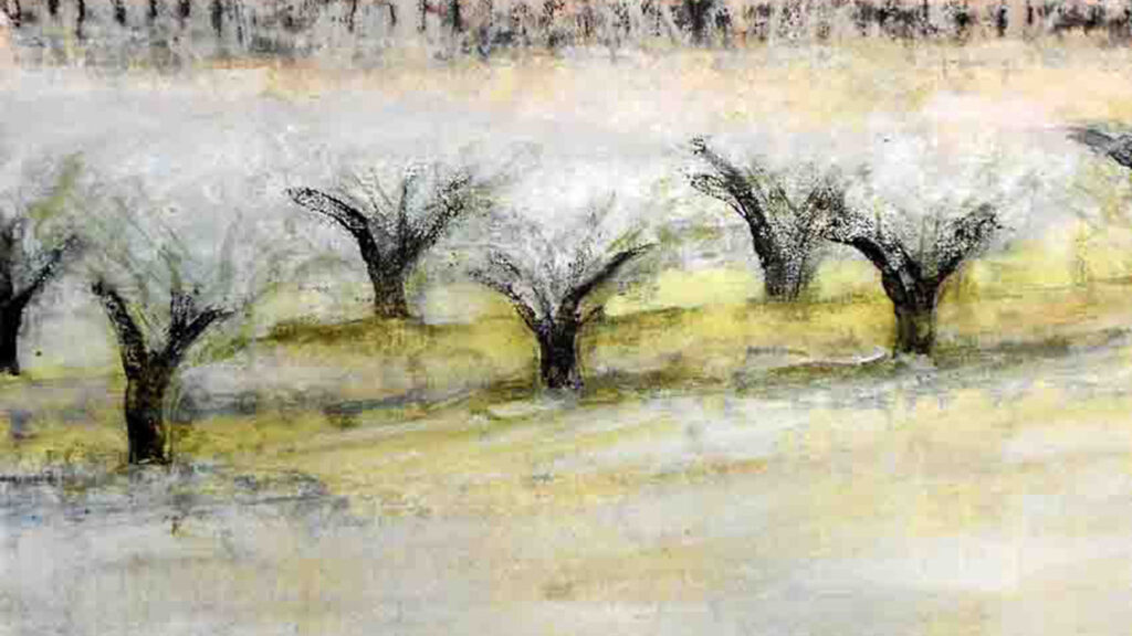 June Stapleton
