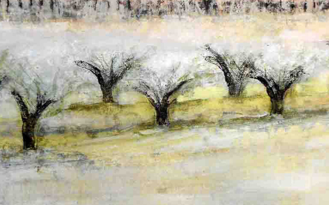 June Stapleton