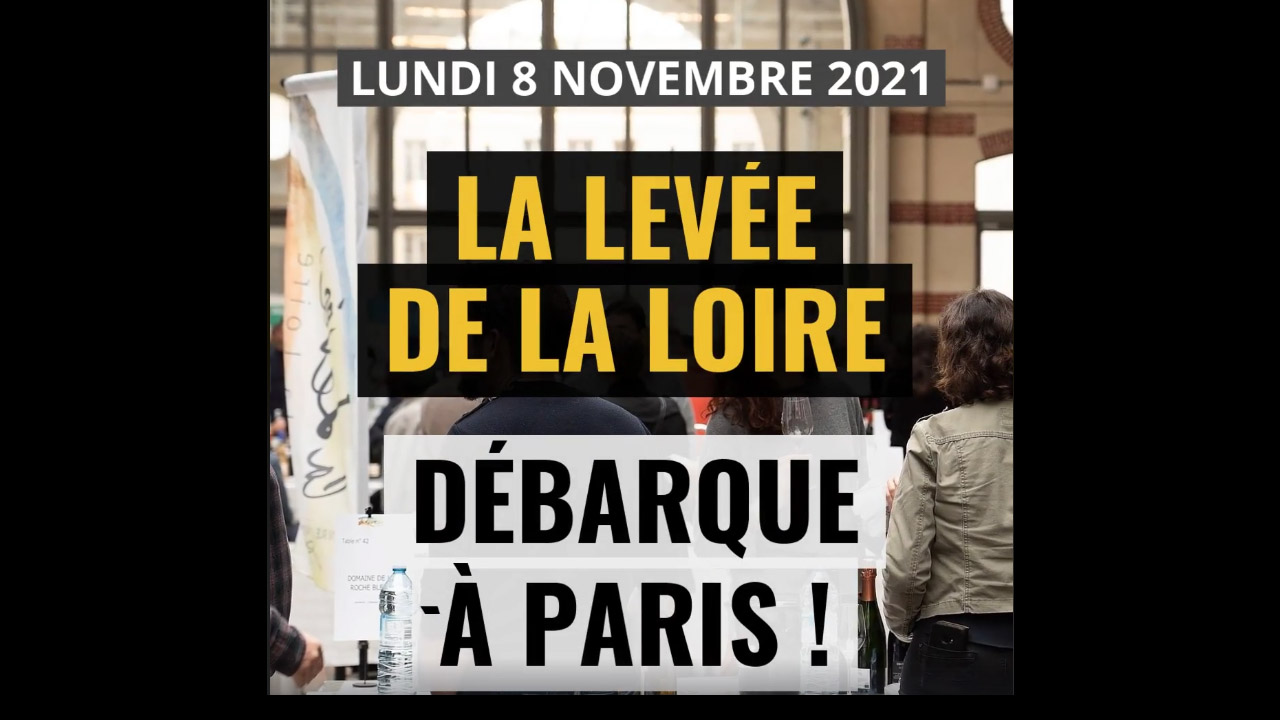 Levée de la Loire - Paris
