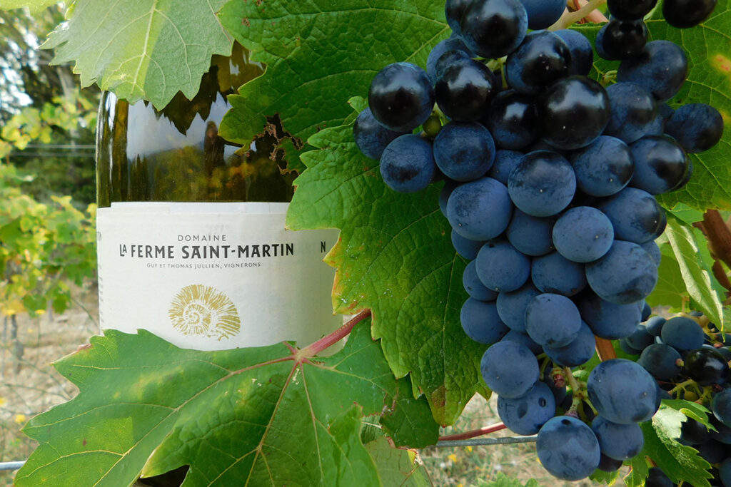 Millésime 2008