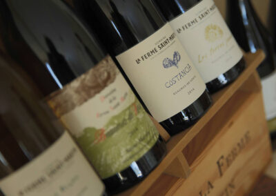 Domaine de la Ferme Saint-Martin - visite Caveau & Dégustation