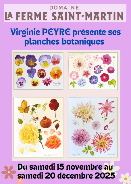 EXPOSITION Virginie PEYRE