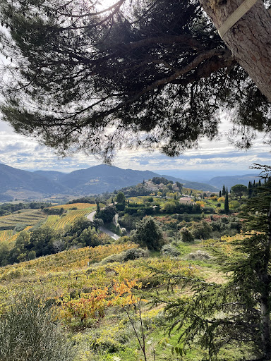 Photo from customer review