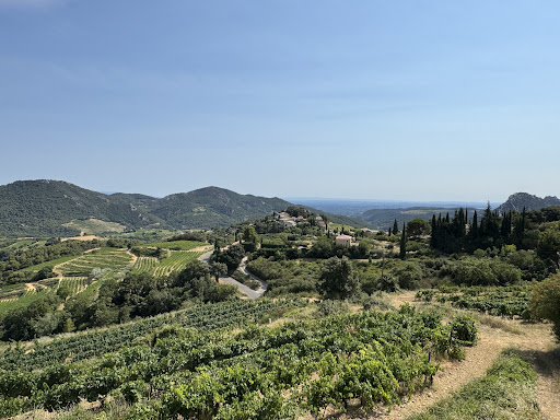 Photo from customer review