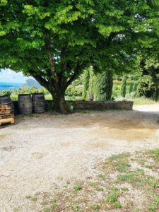 Location maison à Suzette au domaine de la Ferme saint Martin - extérieur
