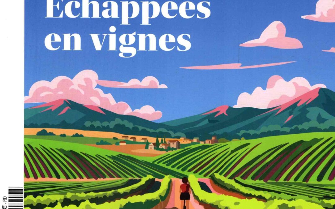 TERRE DE VINS HORS SÉRIE OENOTOURISME MAI 2026