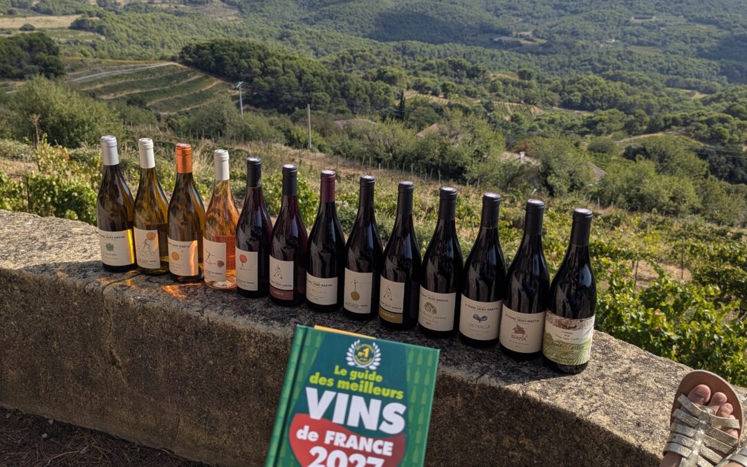 GUIDE DES MEILLEURS VINS DE FRANCE 2027 – LA REVUE DU VIN DE FRANCE